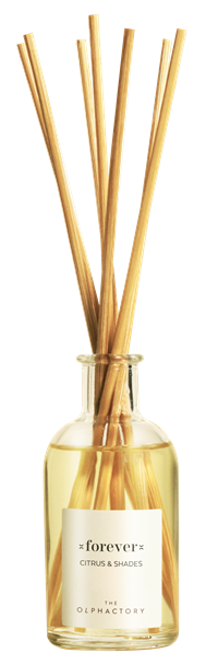 Duftpinner FOREVER 100ml