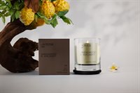 Lacrosse duftlys 200g, Sandalwood & Bergamot