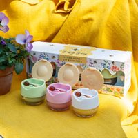Busy Bees Lips Balms 3 x 6 g