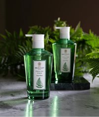 Flytende såpe 300ml - English Fern