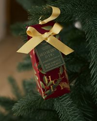 Festive Foliage Hand Care Set