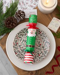 Happy Fizzmas - DISPLAY Xmas Bath Fizzer Crackers