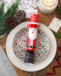 Happy Fizzmas - DISPLAY Xmas Bath Fizzer Crackers