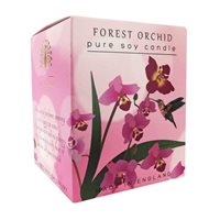 Duftlys - Forest Orchid