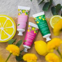 Gavesett Feel The Zest