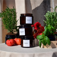 Duftlys HERBORIUM Pomodoro 360g