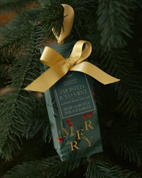 Festive Foliage Hand Care Set