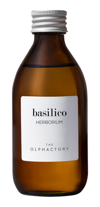 Duftpinner HERBORIUM Basilico 250ml