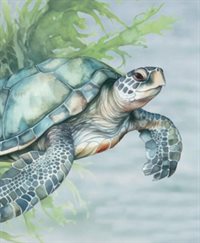 Anniversary Skumsåpe - Kropp & Hender - Ocean Seaweed 200ml