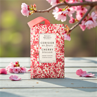 Duftkonvolutt Cherry Blossom