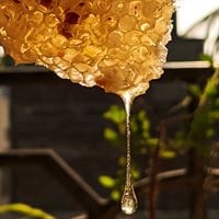 Flytende Såpe Honning 500ml