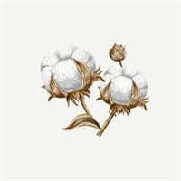 Duftlys Cotton Flower 275g