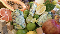 Bath & Shower - UPLIFTING Bergamot & White Tea 500ml