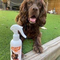 Deodorising Dog Spray 250ml
