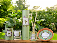 Duftpinner Bamboo Citronella 100ml
