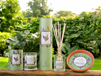 Duftpinner Verbena Citronella 100ml
