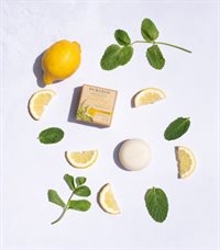Sjampobar normalt hår - Lemon Mint 75g