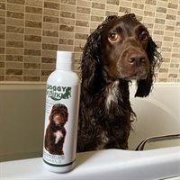 Conditioning Dog Shampoo 250ml