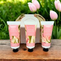 Gavesett Pink Tulip